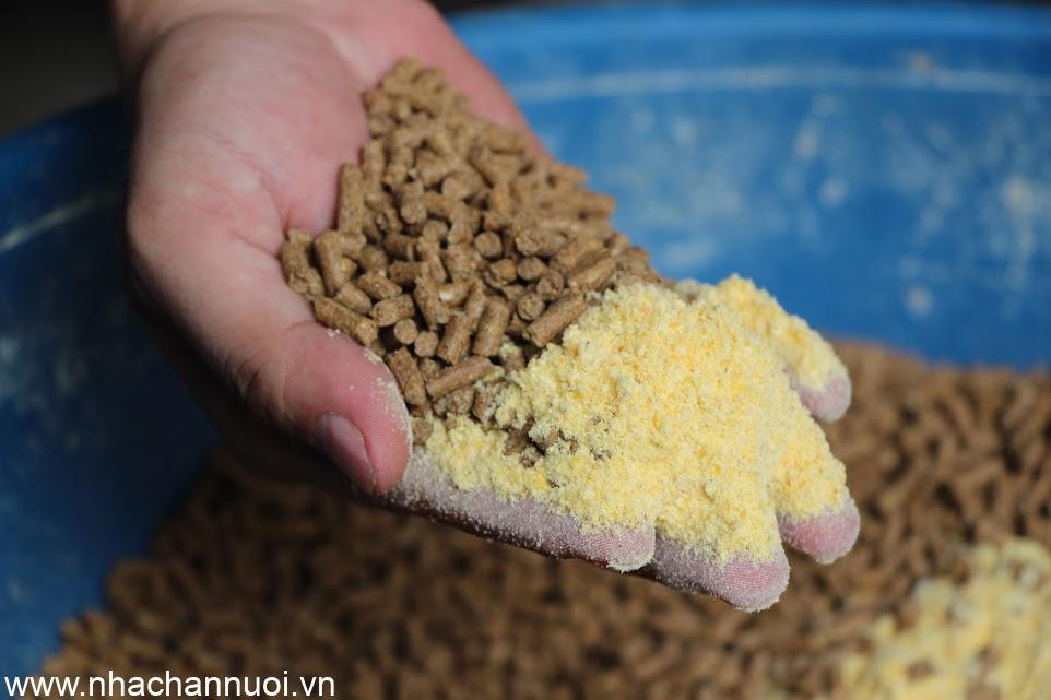 Ngành thức ăn chăn nuôi năm 2025: Sản lượng đạt trên 22 triệu tấn, tăng 2,9%