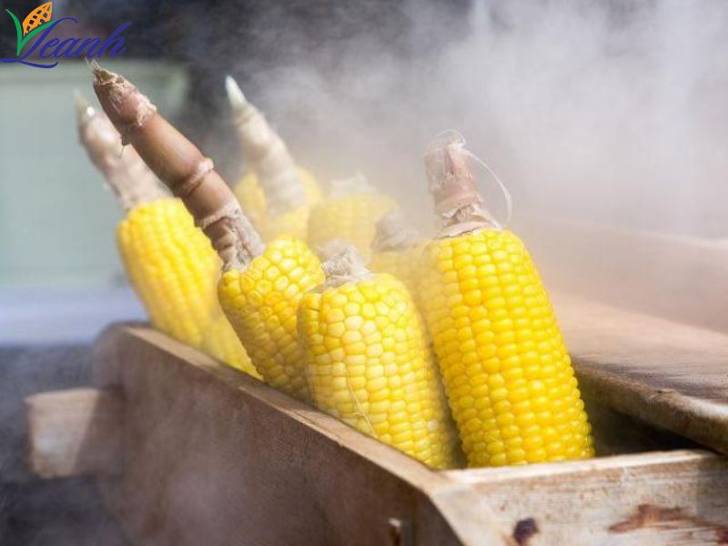 Tiêu chuẩn xuất khẩu ngô mới nhất